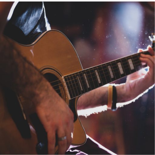 Blueridge Guitars
