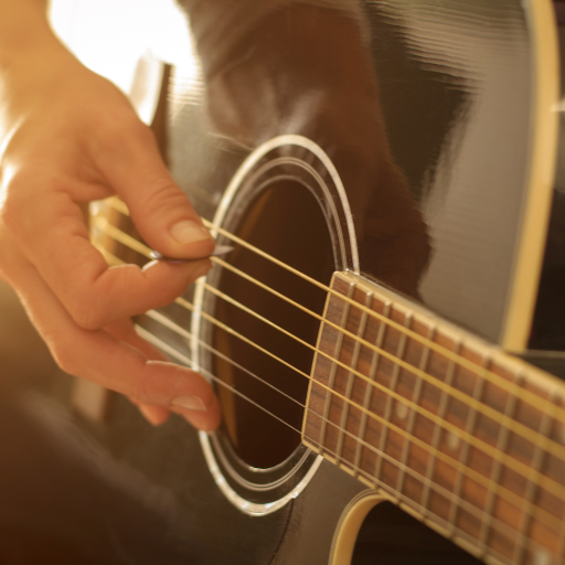 Jasmine Guitars