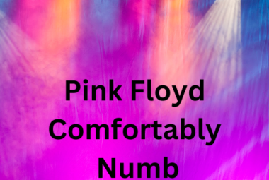Pink Floyd Comfortably Numb