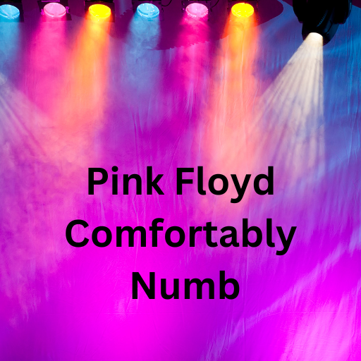 Pink Floyd Comfortably Numb